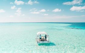 Lily Beach Reviews 5*